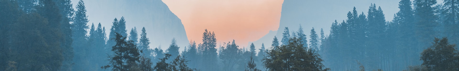 互联网上的最后一片净土