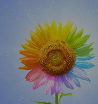 越焦虑的人，越爱“假努力”